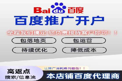 某公司通过百度竞价实现业务快速增长的案例